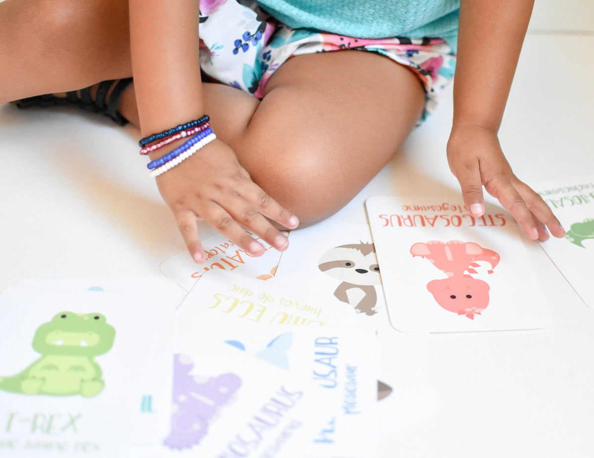 Dinosaur Flashcards - The Baby Penguin