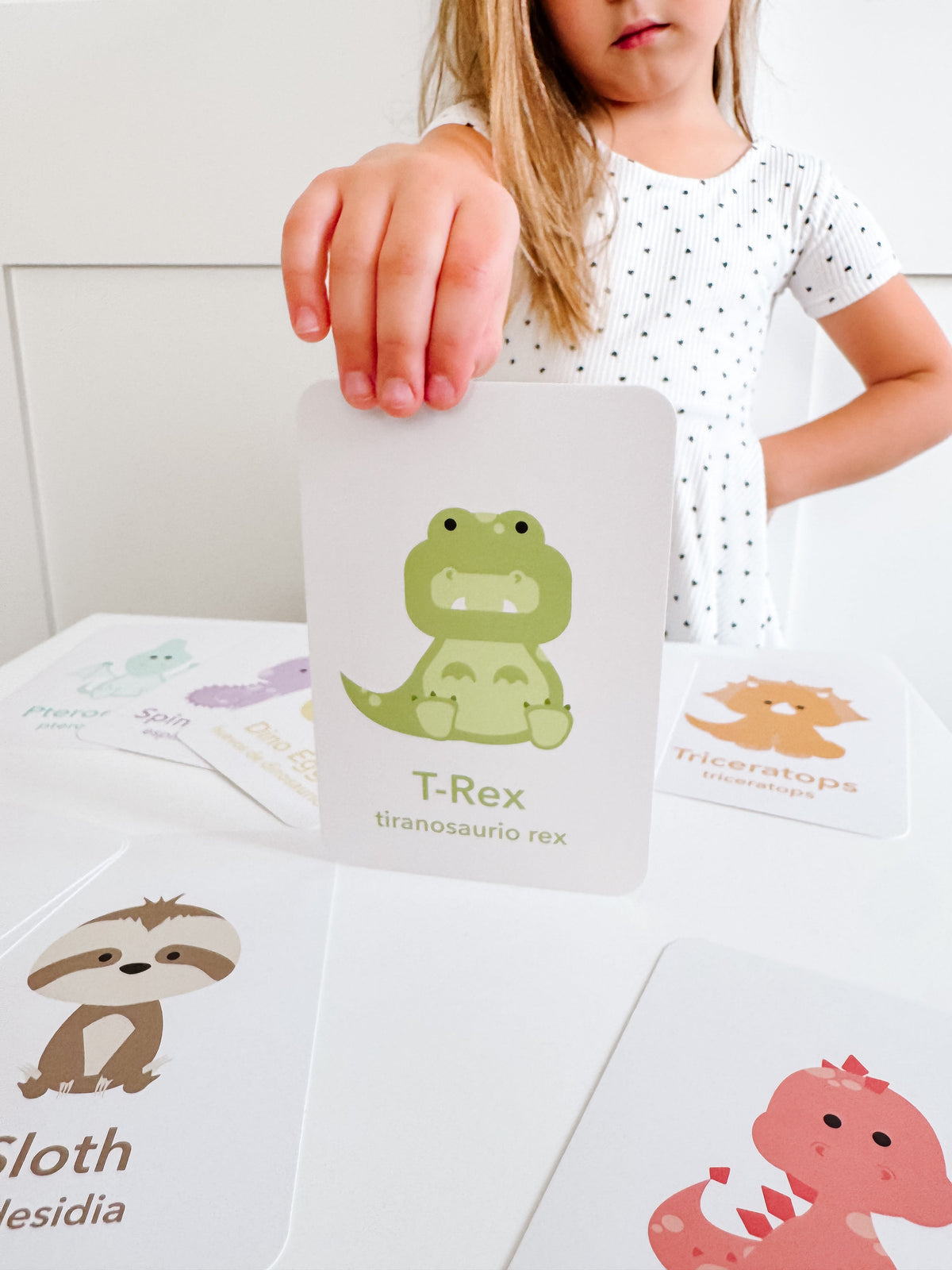 Dinosaur Flashcards - The Baby Penguin