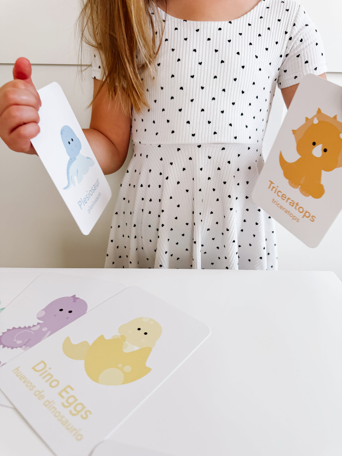Dinosaur Flashcards - The Baby Penguin