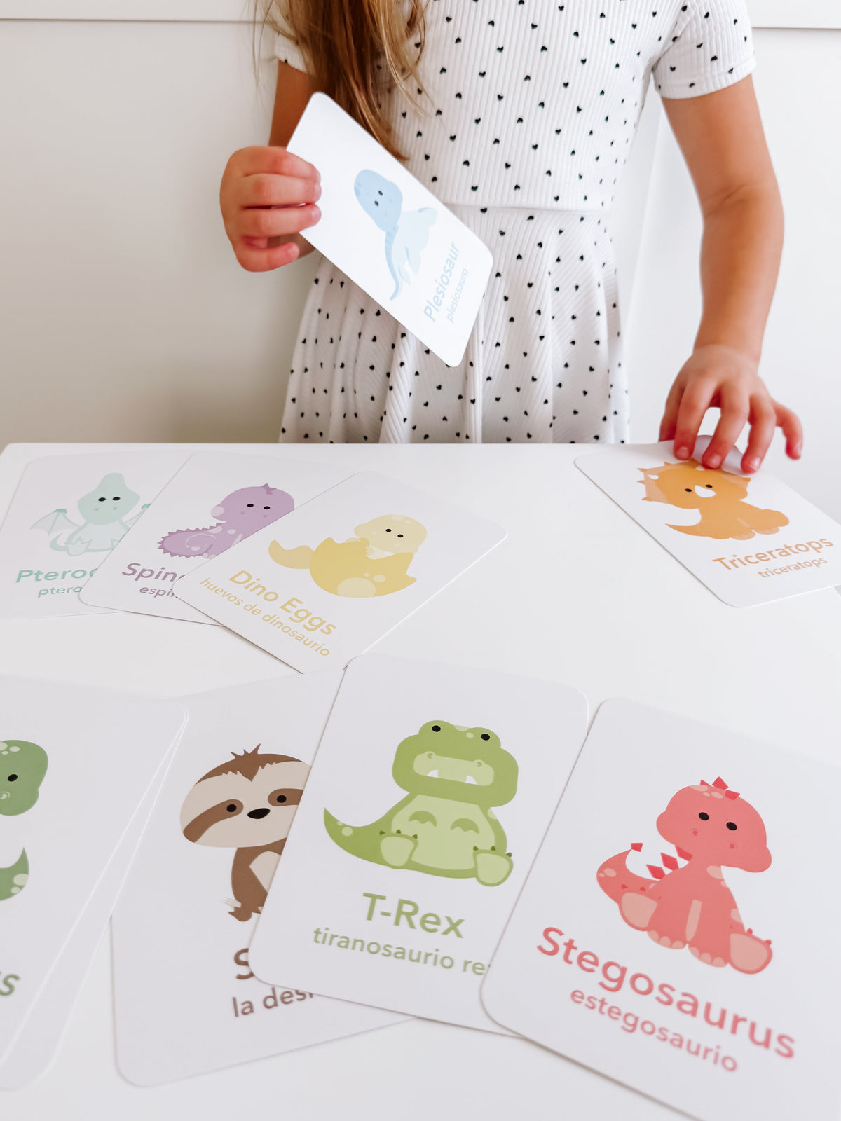 Dinosaur Flashcards - The Baby Penguin