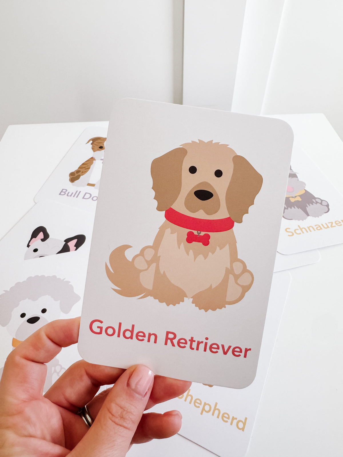 Dog Breed Flash Cards - The Baby Penguin