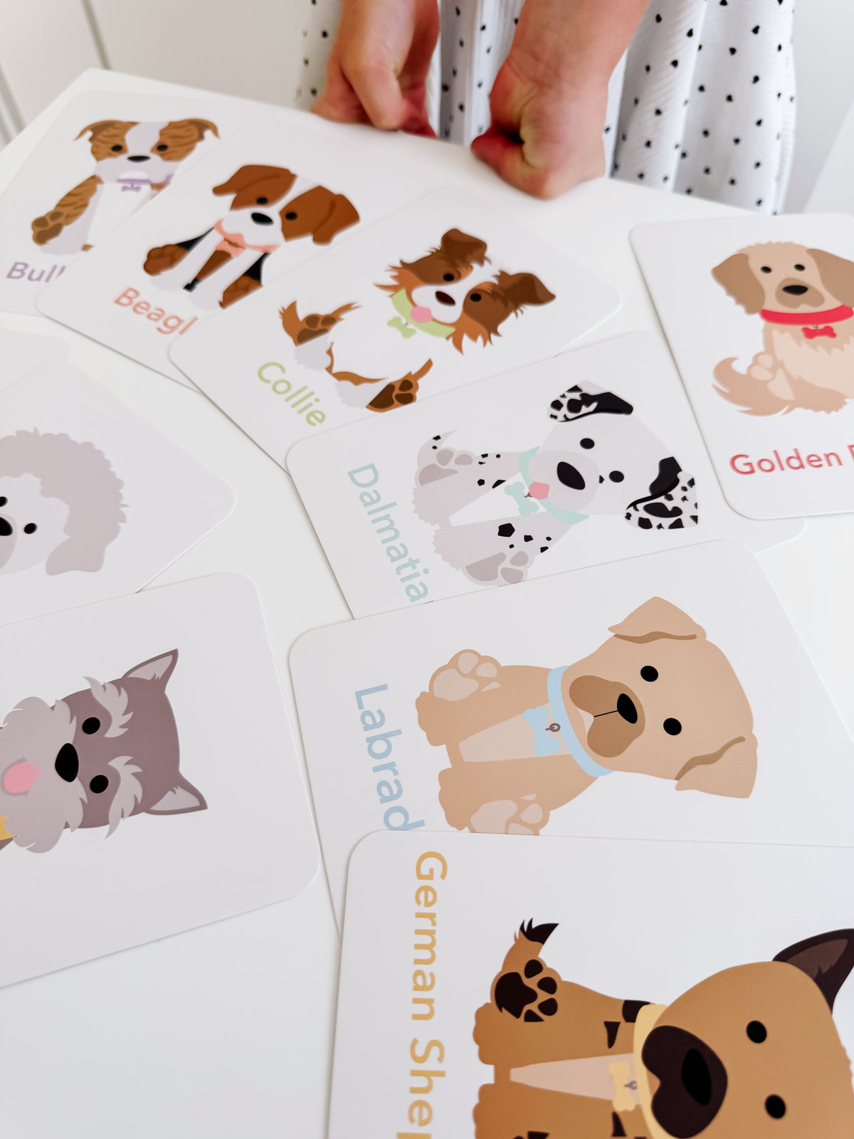 Dog Breed Flash Cards - The Baby Penguin