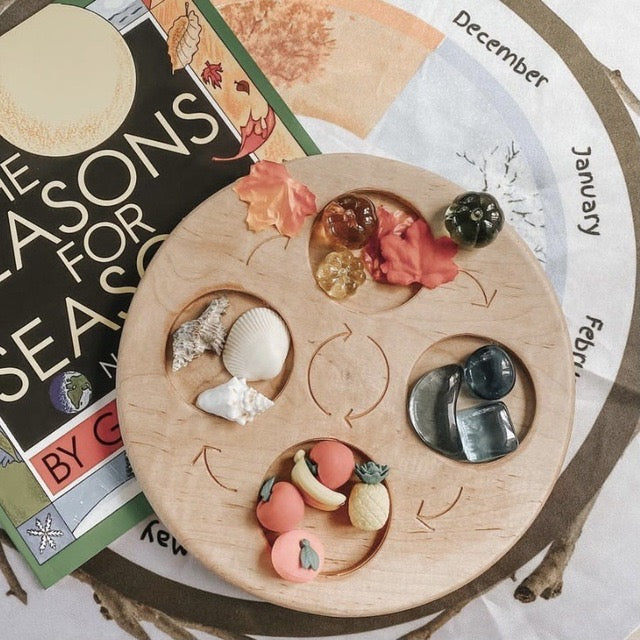 Life cycle board arranged with shells and ocean objects; accessories not included