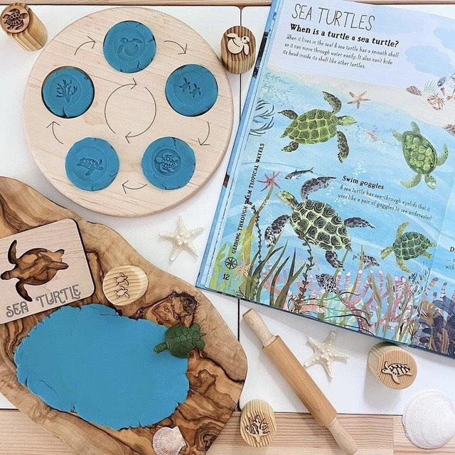 Life cycle board beside sea turtle learning materials; accessories not included