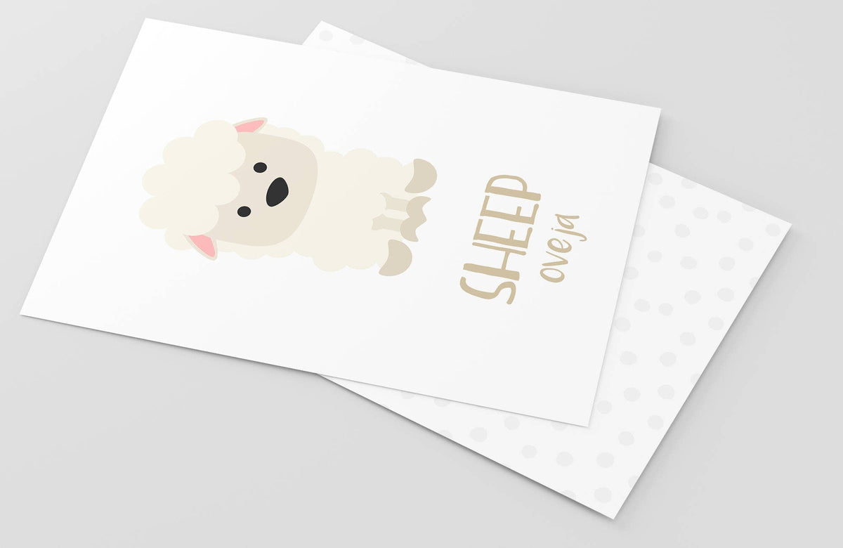 Farm Animal Flashcards - The Baby Penguin