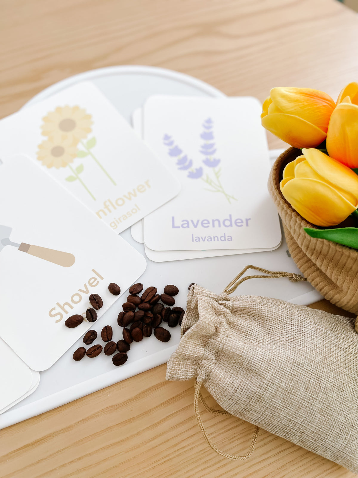 Flower Garden Flashcards - The Baby Penguin