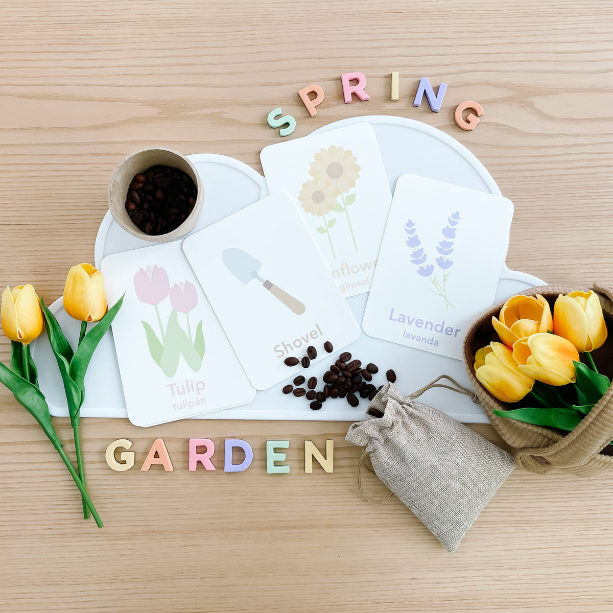 Flower Garden Flashcards - The Baby Penguin