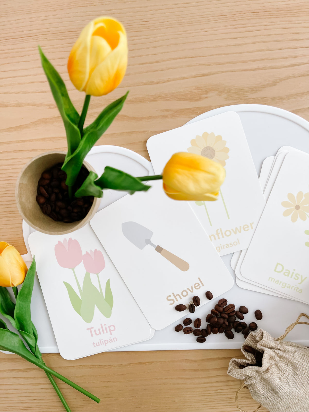 Flower Garden Flashcards - The Baby Penguin