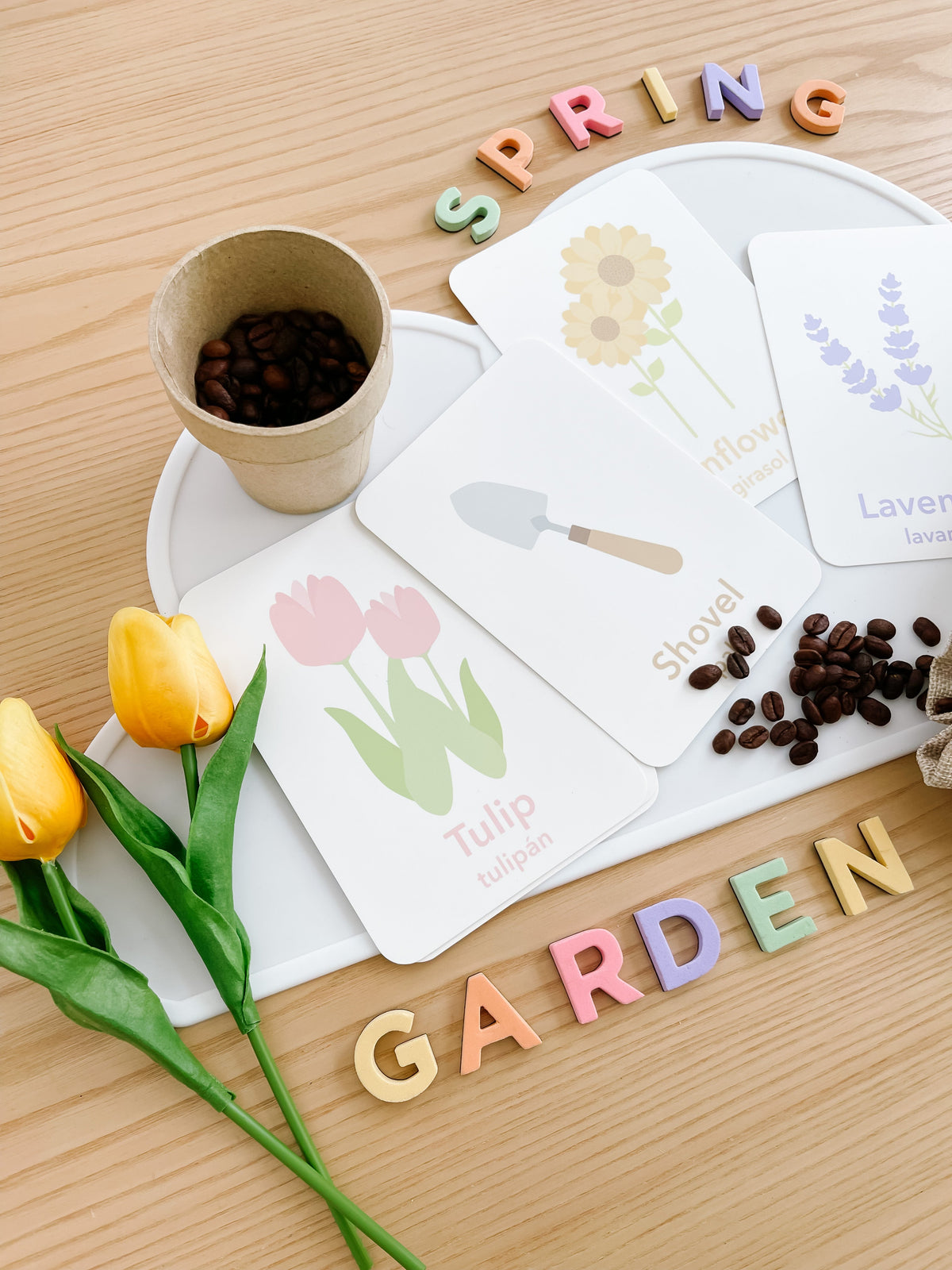 Flower Garden Flashcards - The Baby Penguin