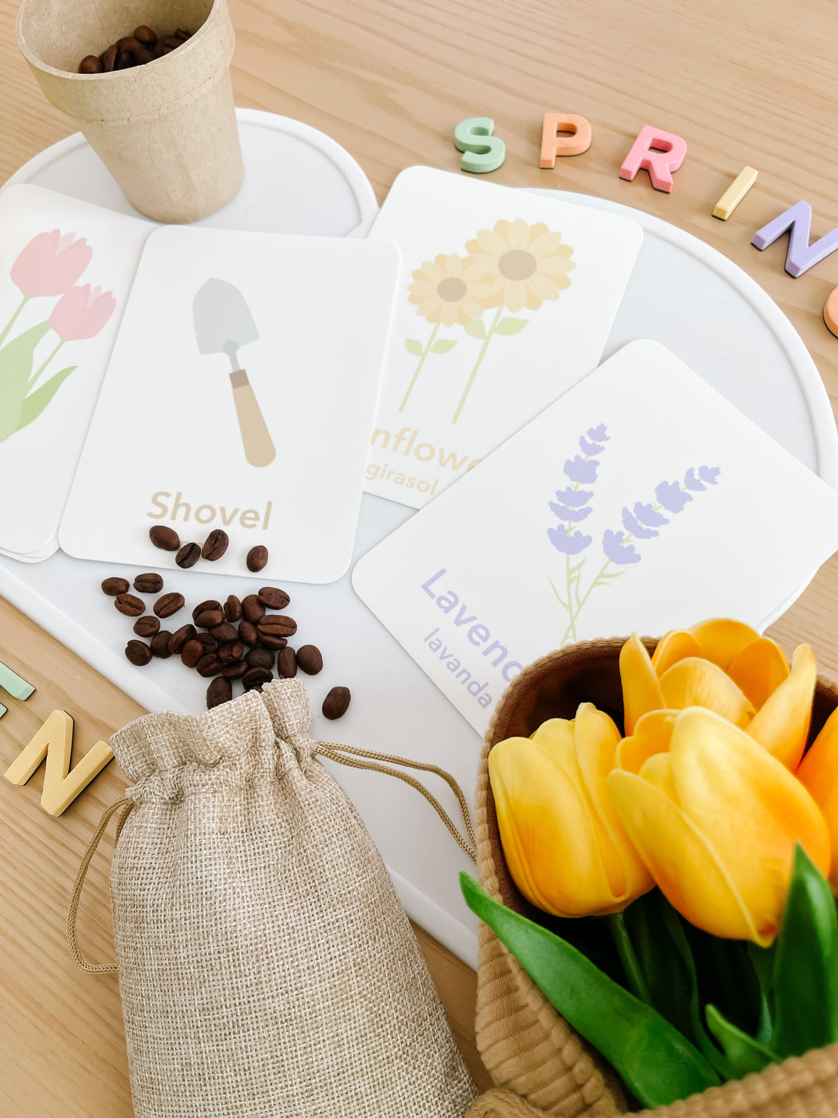 Flower Garden Flashcards - The Baby Penguin