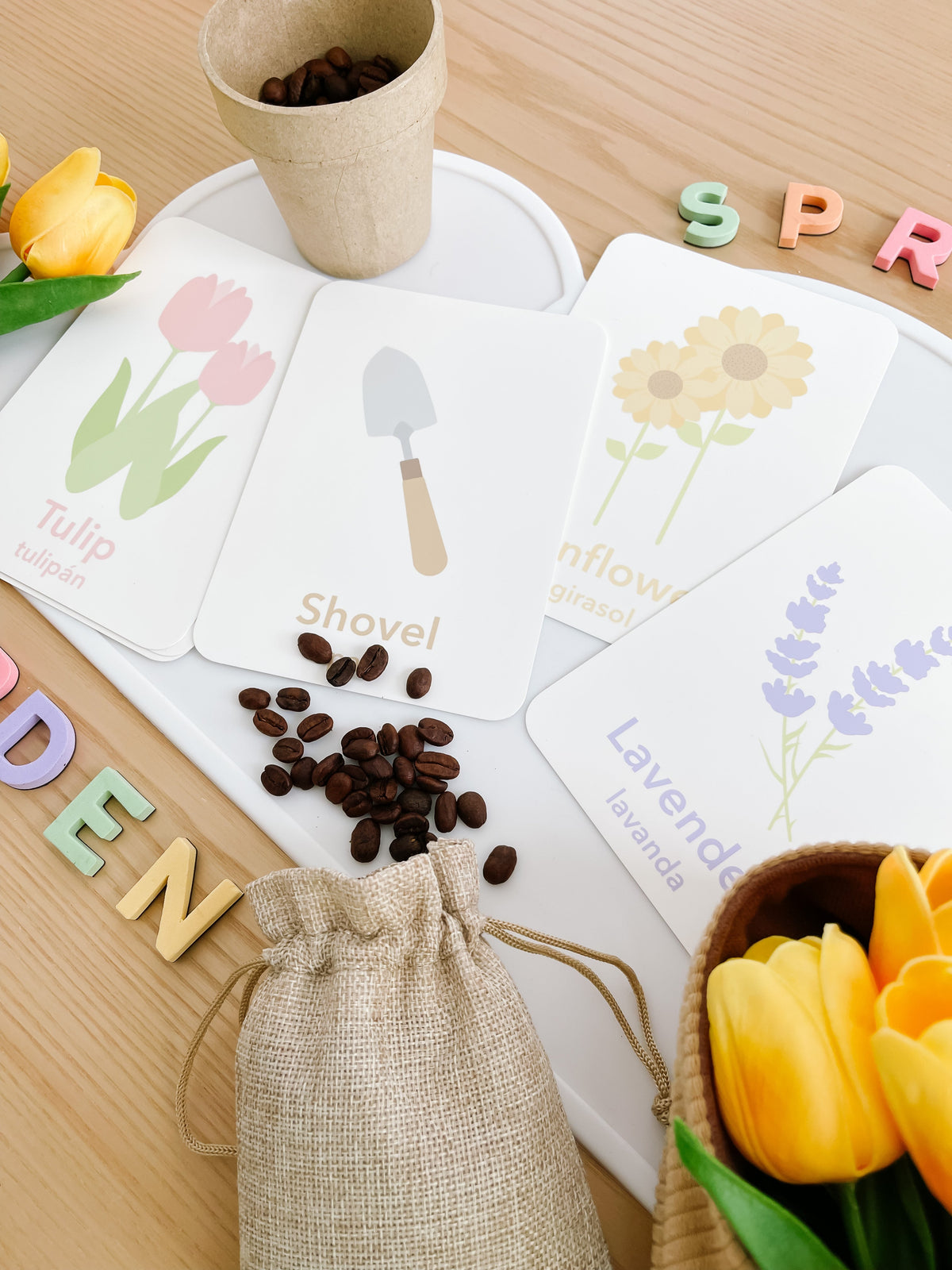 Flower Garden Flashcards - The Baby Penguin