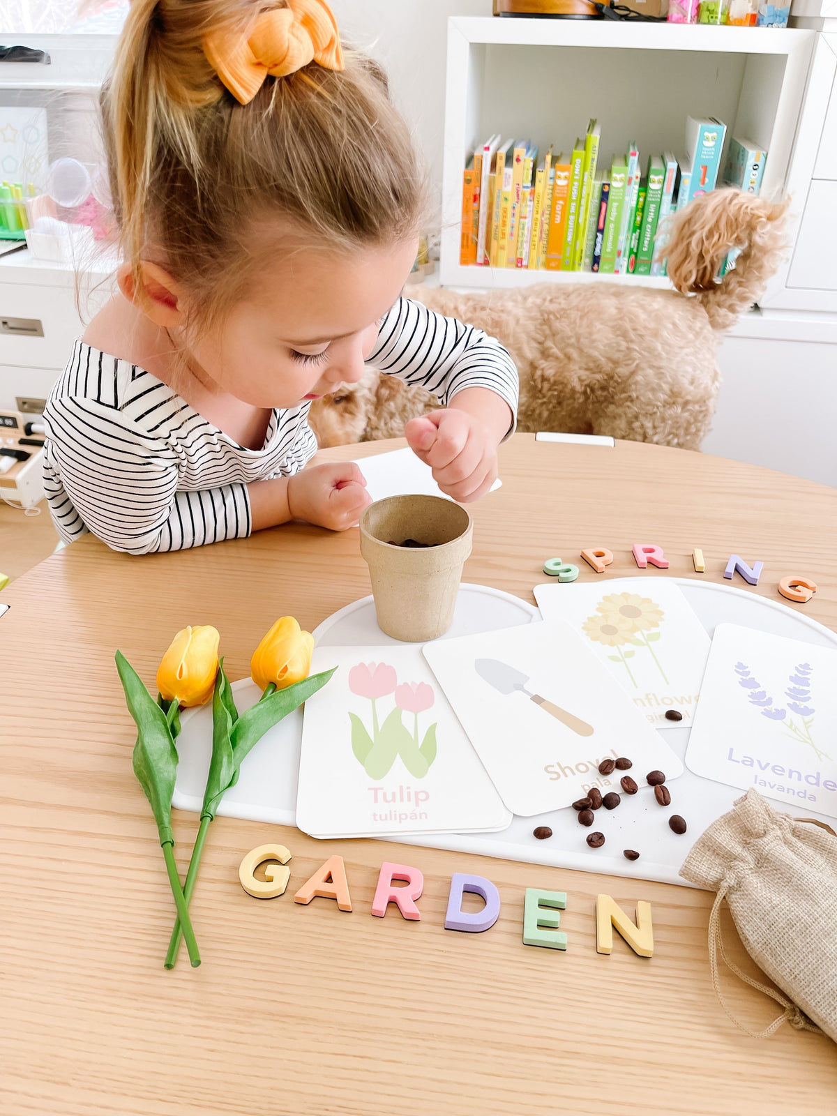 Flower Garden Flashcards - The Baby Penguin