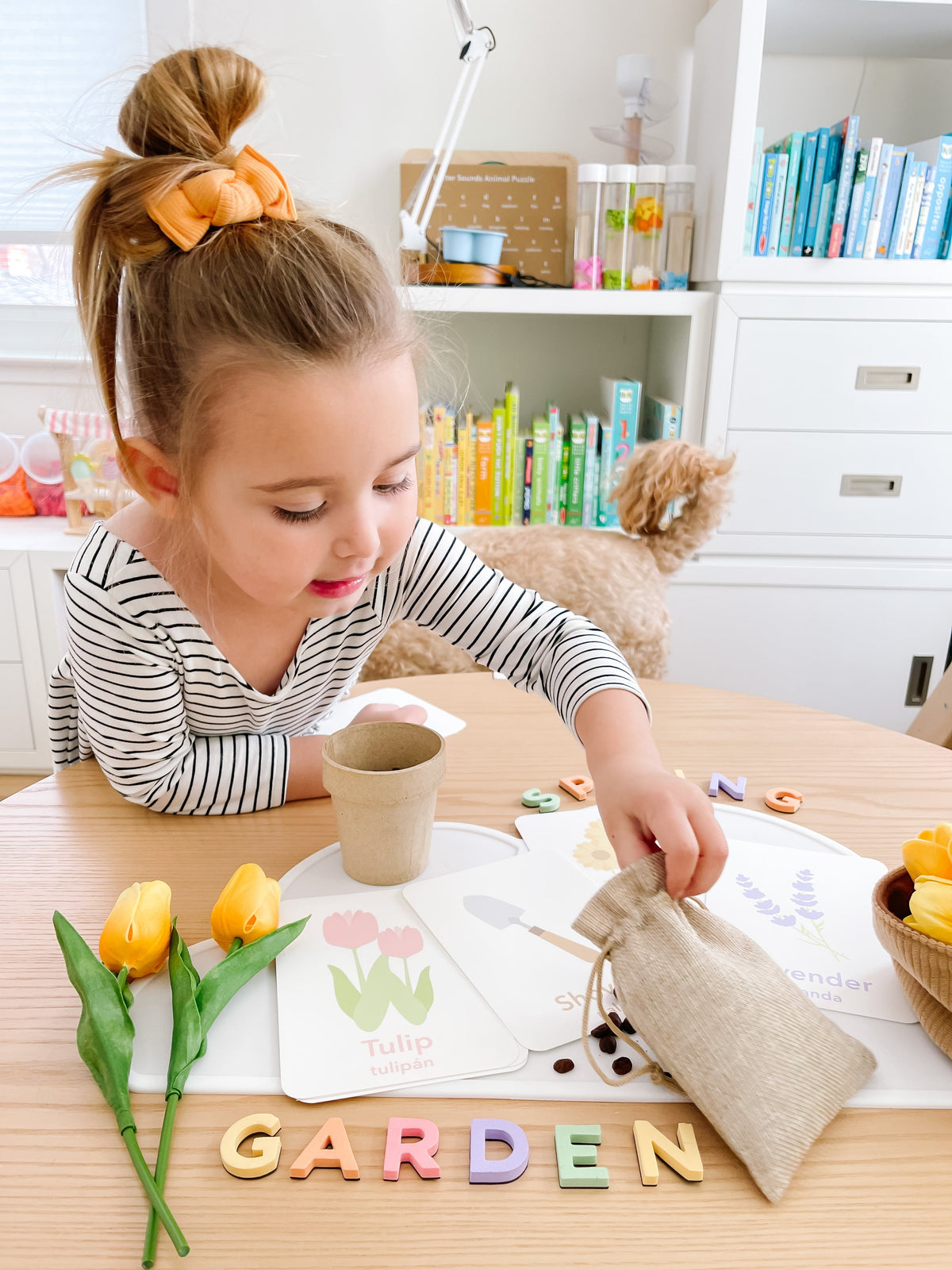 Flower Garden Flashcards - The Baby Penguin