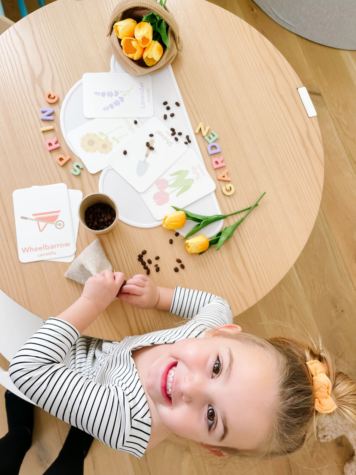 Flower Garden Flashcards - The Baby Penguin