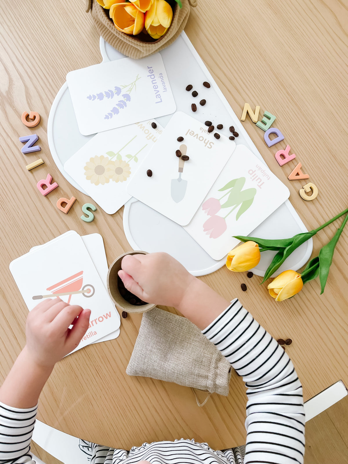 Flower Garden Flashcards - The Baby Penguin