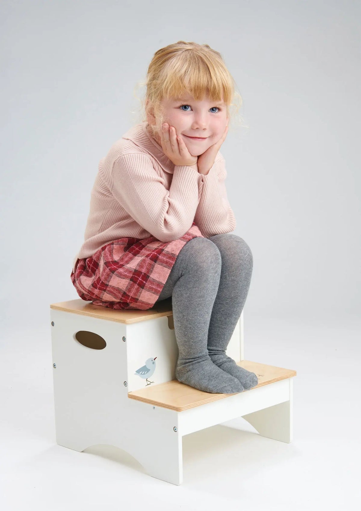 Tender Leaf Forest Wooden Step Stool with Storage