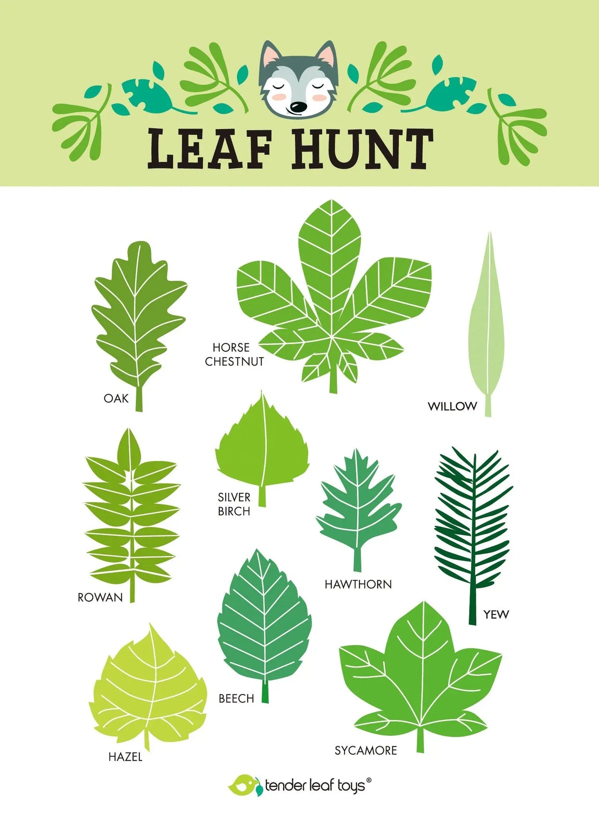 Tender Leaf Forest Trail Outdoor Adventure Kit
