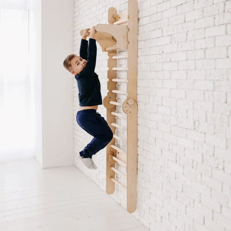 Gym Addition to the Climbing Ladders - The Baby Penguin
