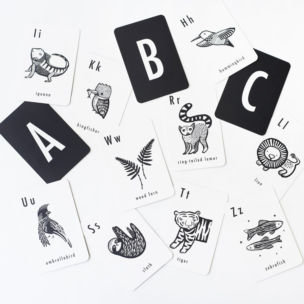 Jungle Alphabet Cards - The Baby Penguin