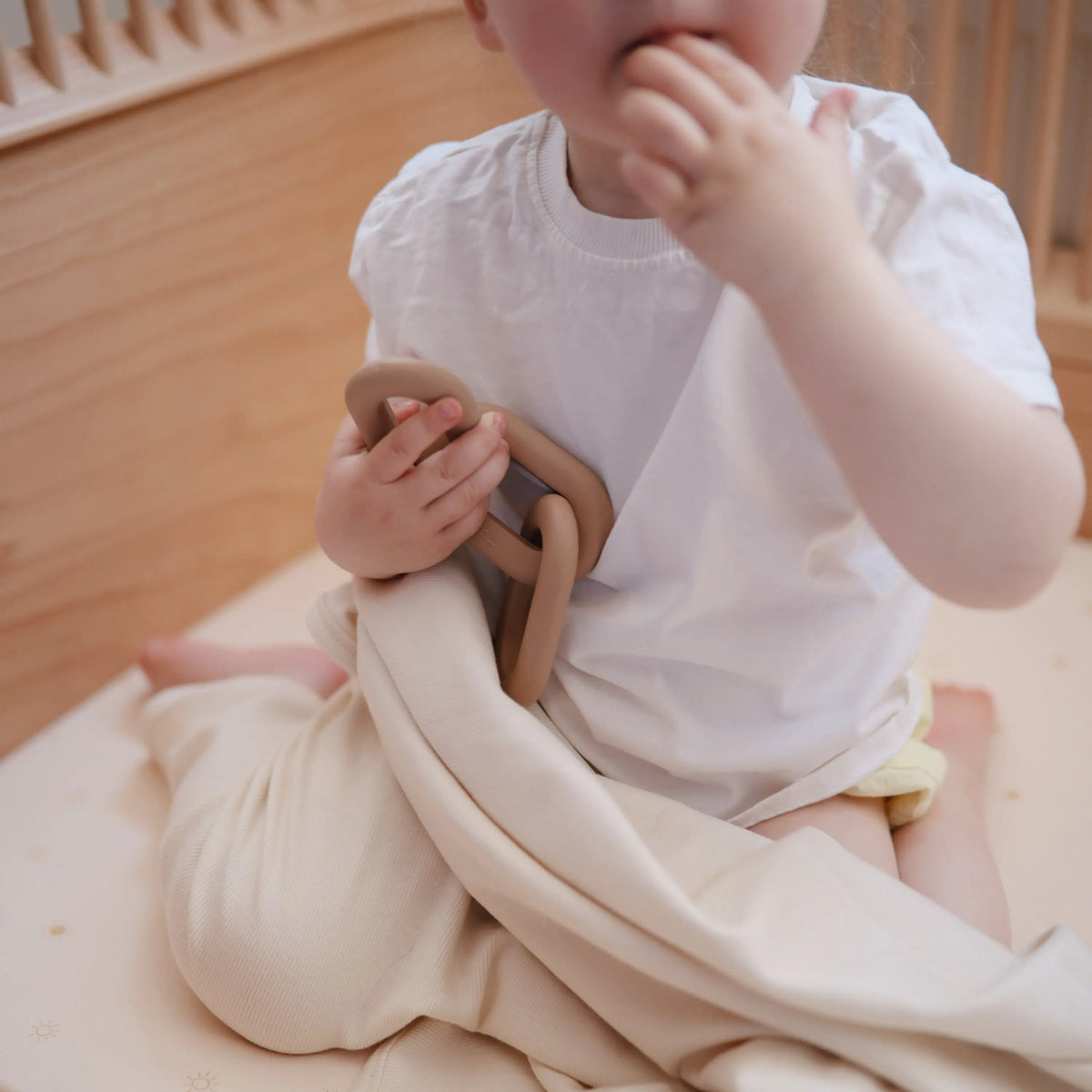Links Teether | teether | The Baby Penguin