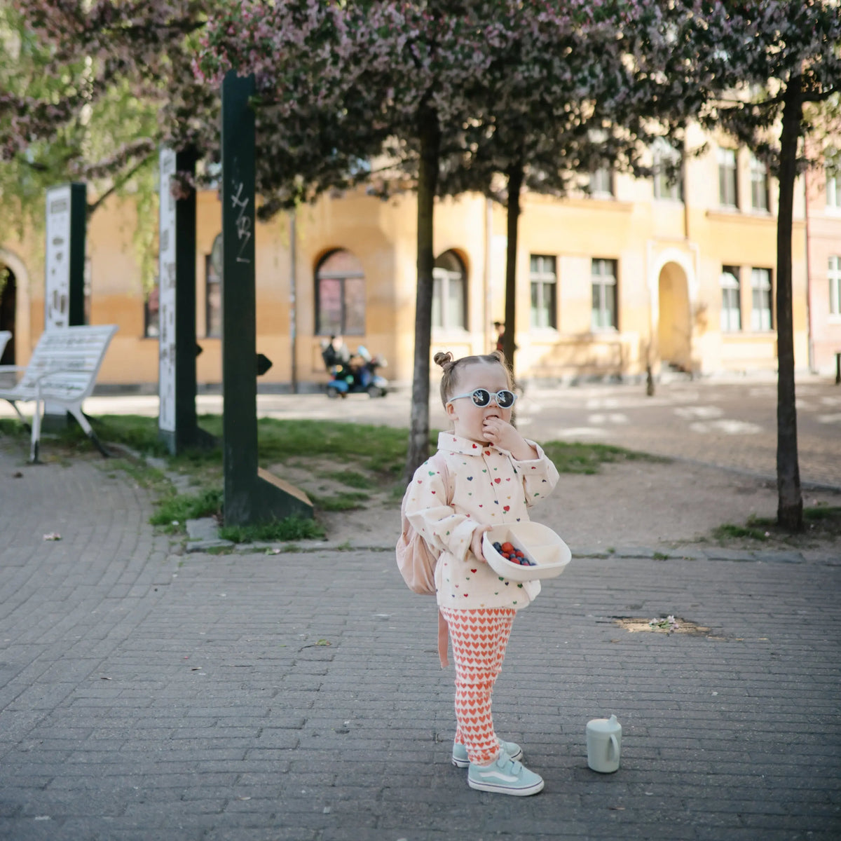 Lunchbox | Lunchbox | The Baby Penguin
