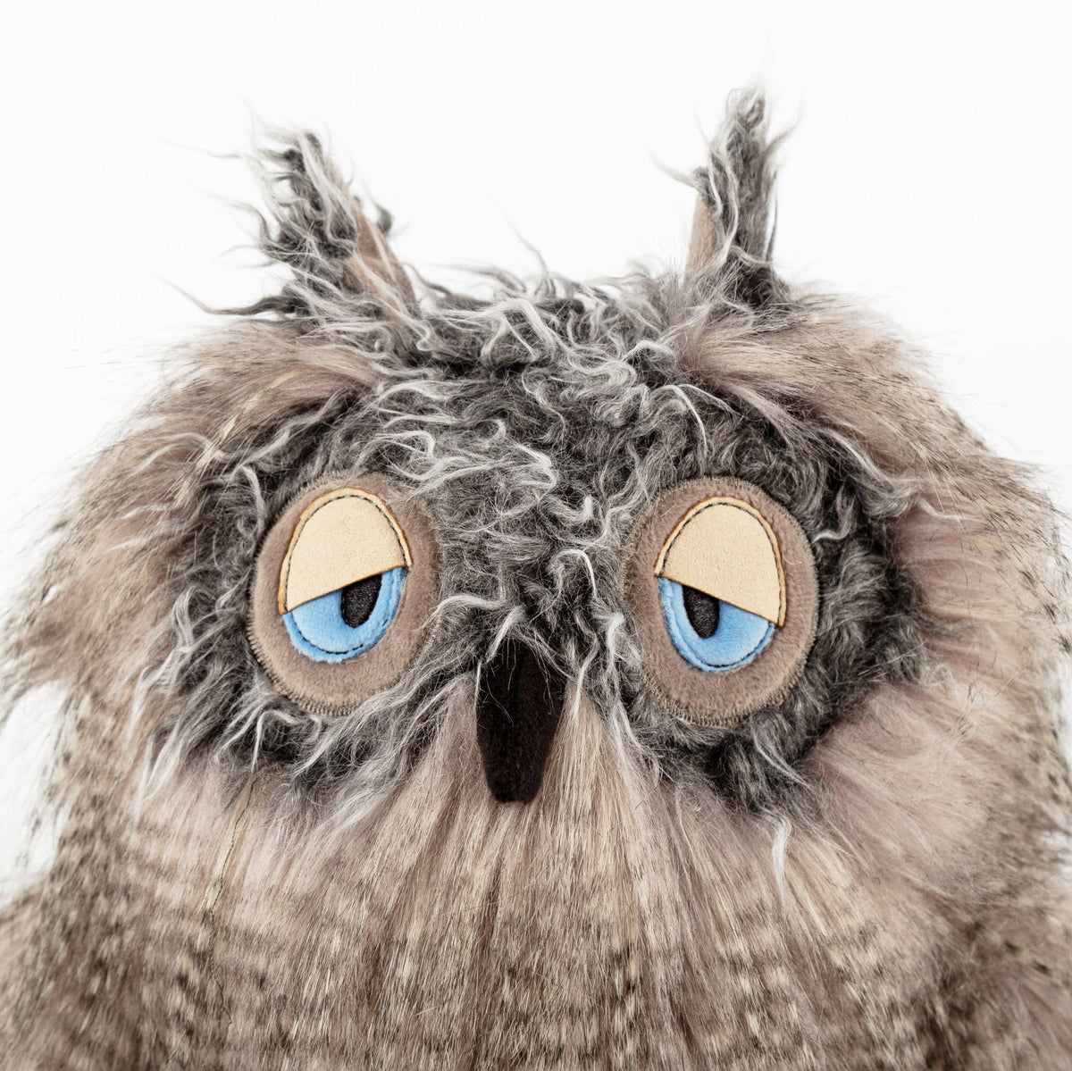 Miss Night Owl | KiKeRiKi | The Baby Penguin