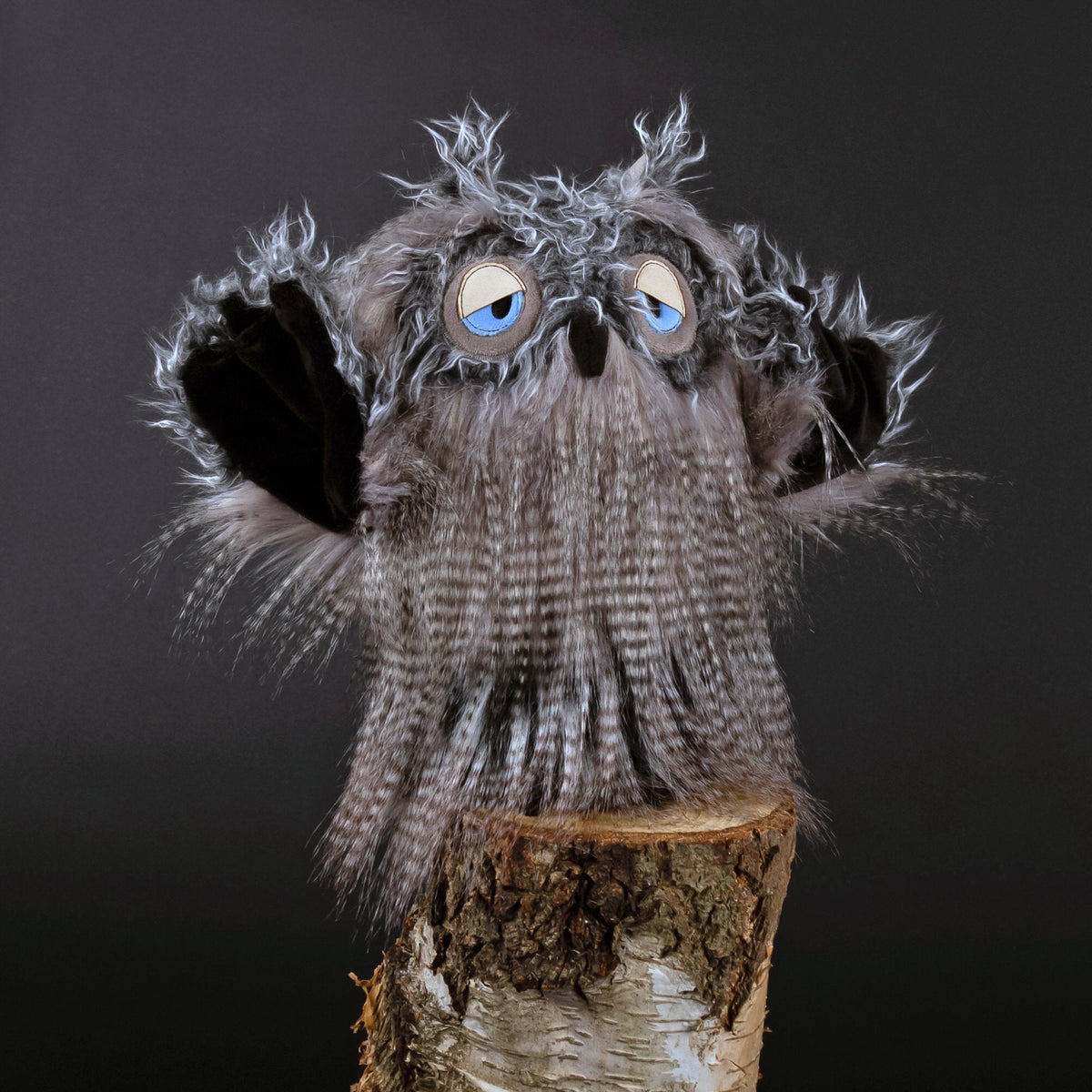Miss Night Owl | KiKeRiKi | The Baby Penguin