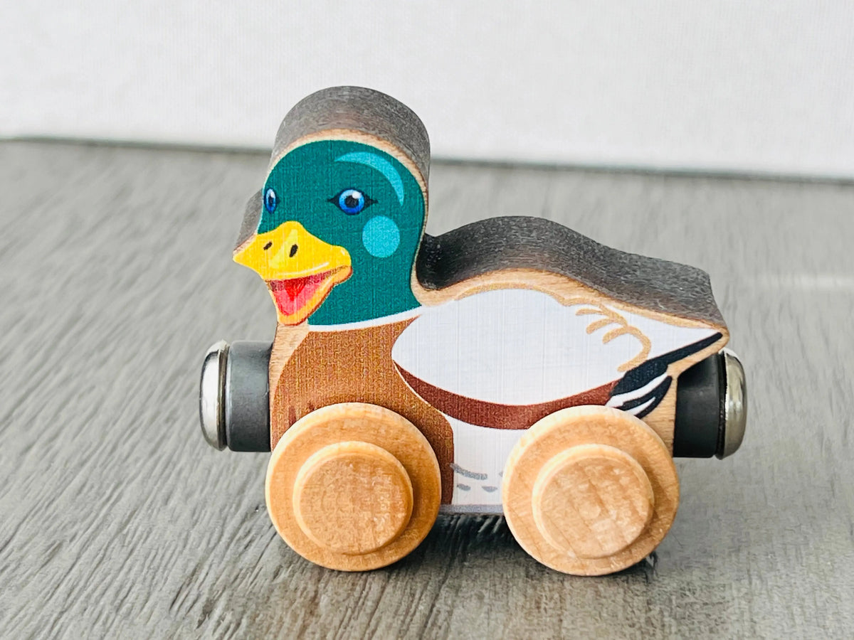 NameTrains Darrell Duck