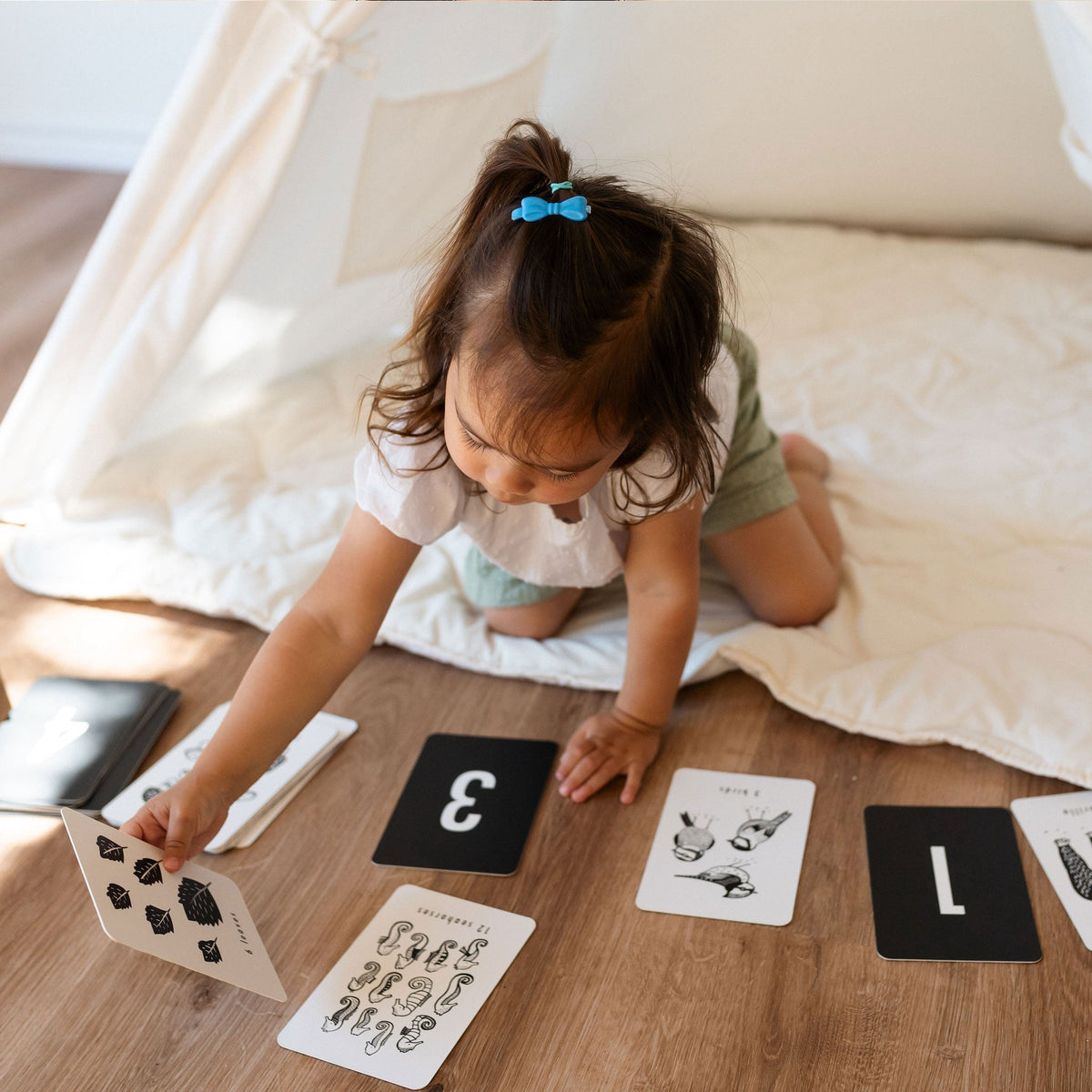Nature Number Cards - The Baby Penguin