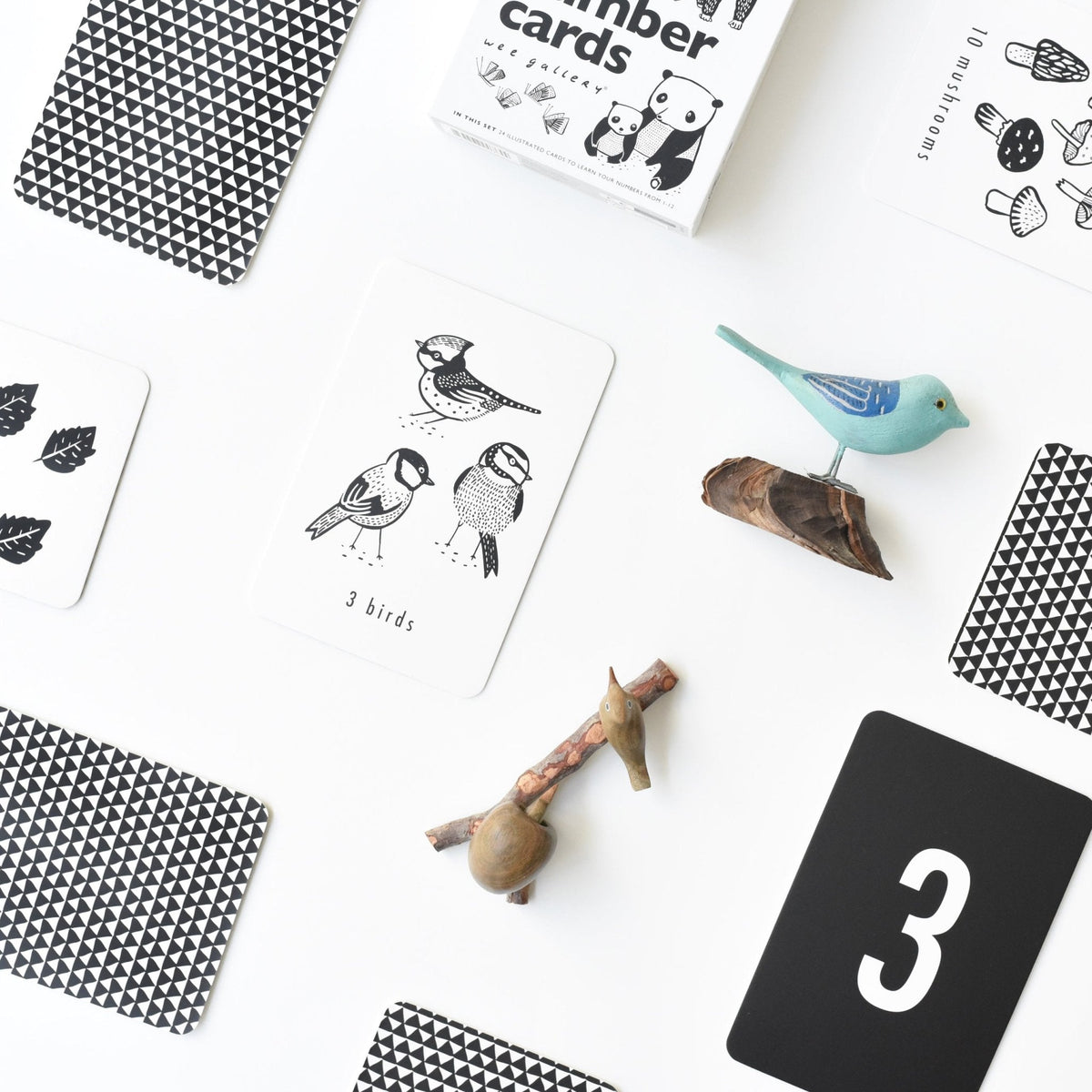 Nature Number Cards - The Baby Penguin