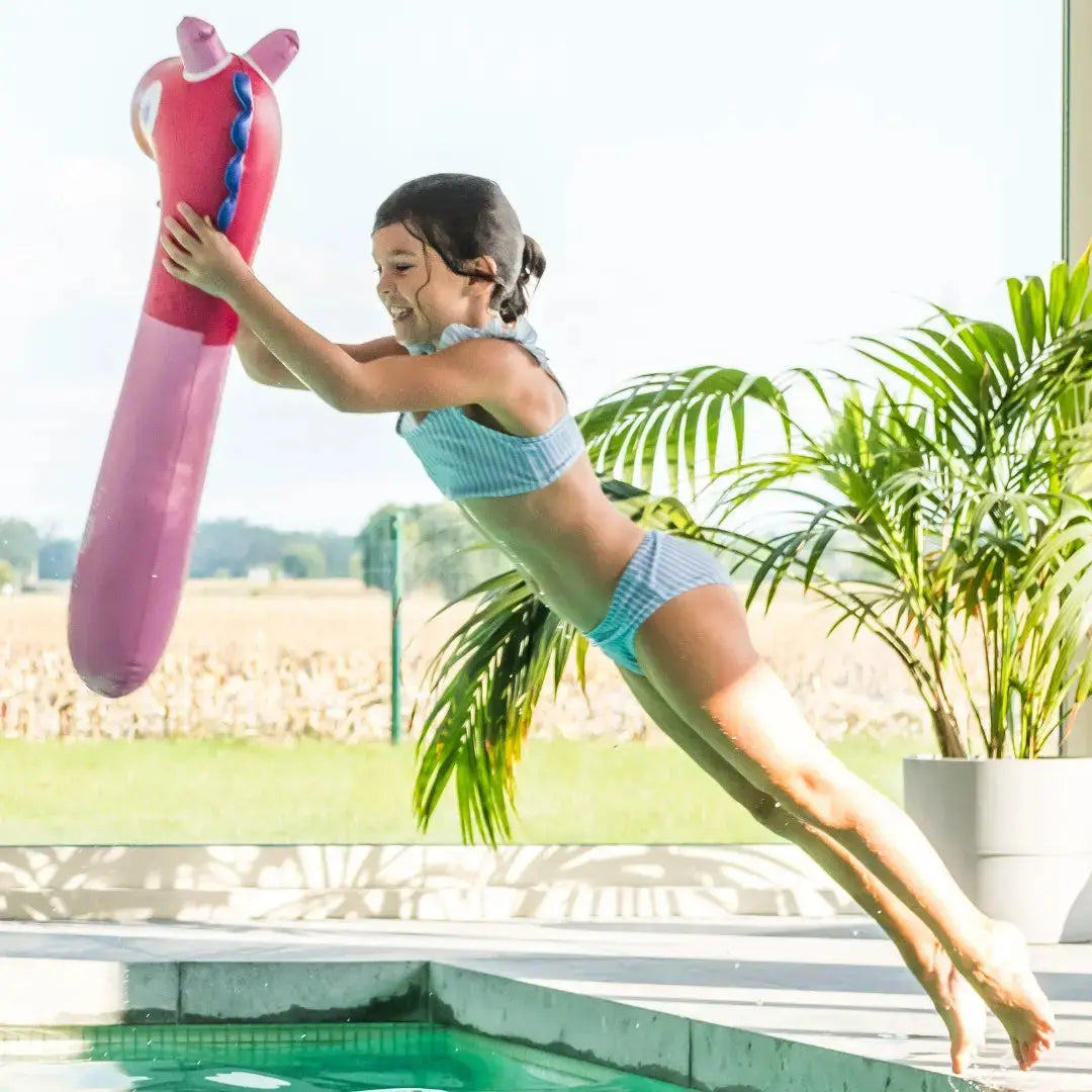 Noodle Horse – Inflatable Kids Pool Noodle | | The Baby Penguin