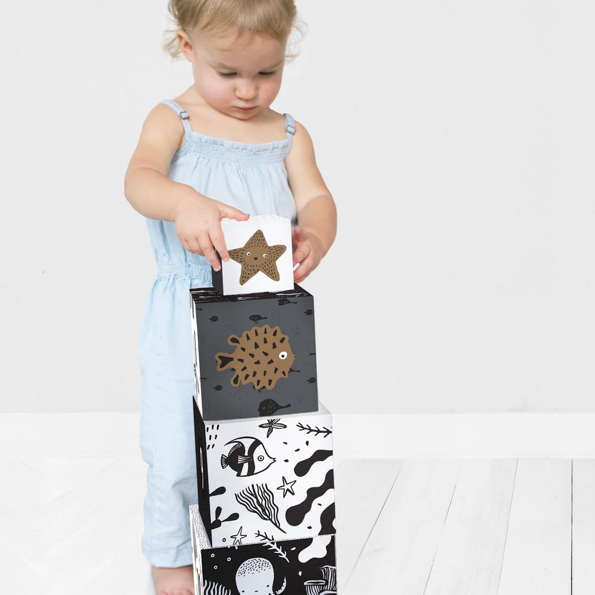 Ocean Explorer Bundle - The Baby Penguin