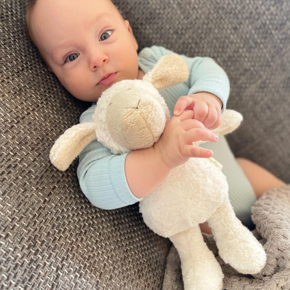 Organic Sheep Plush Toy | Organic Toys | The Baby Penguin