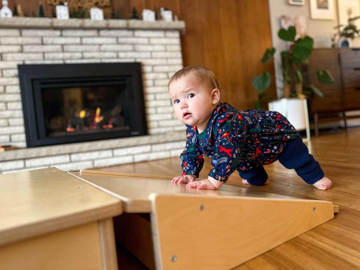 Platform and Ramp - The Baby Penguin