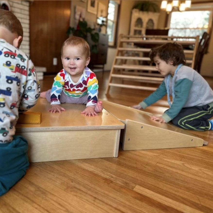 Platform and Ramp - The Baby Penguin