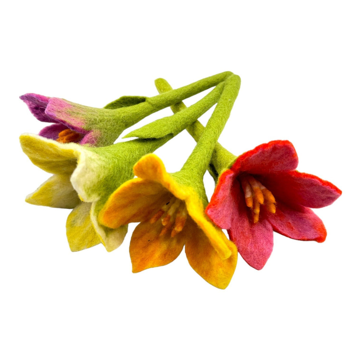 Handmade Wool Felt Play Food & Accessories – 14 Styles – product image 34