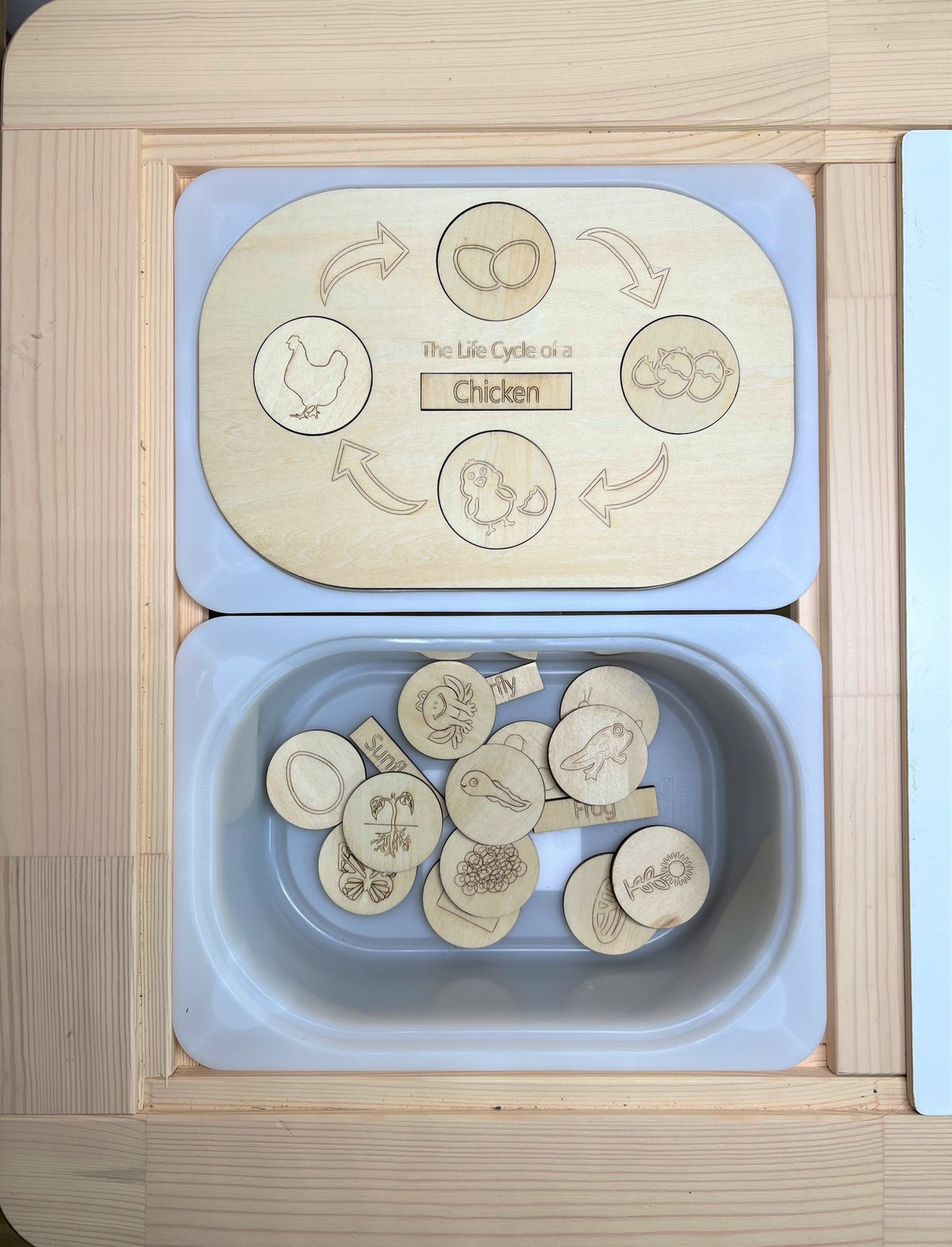 Life cycle sensory board fitted in a table bin