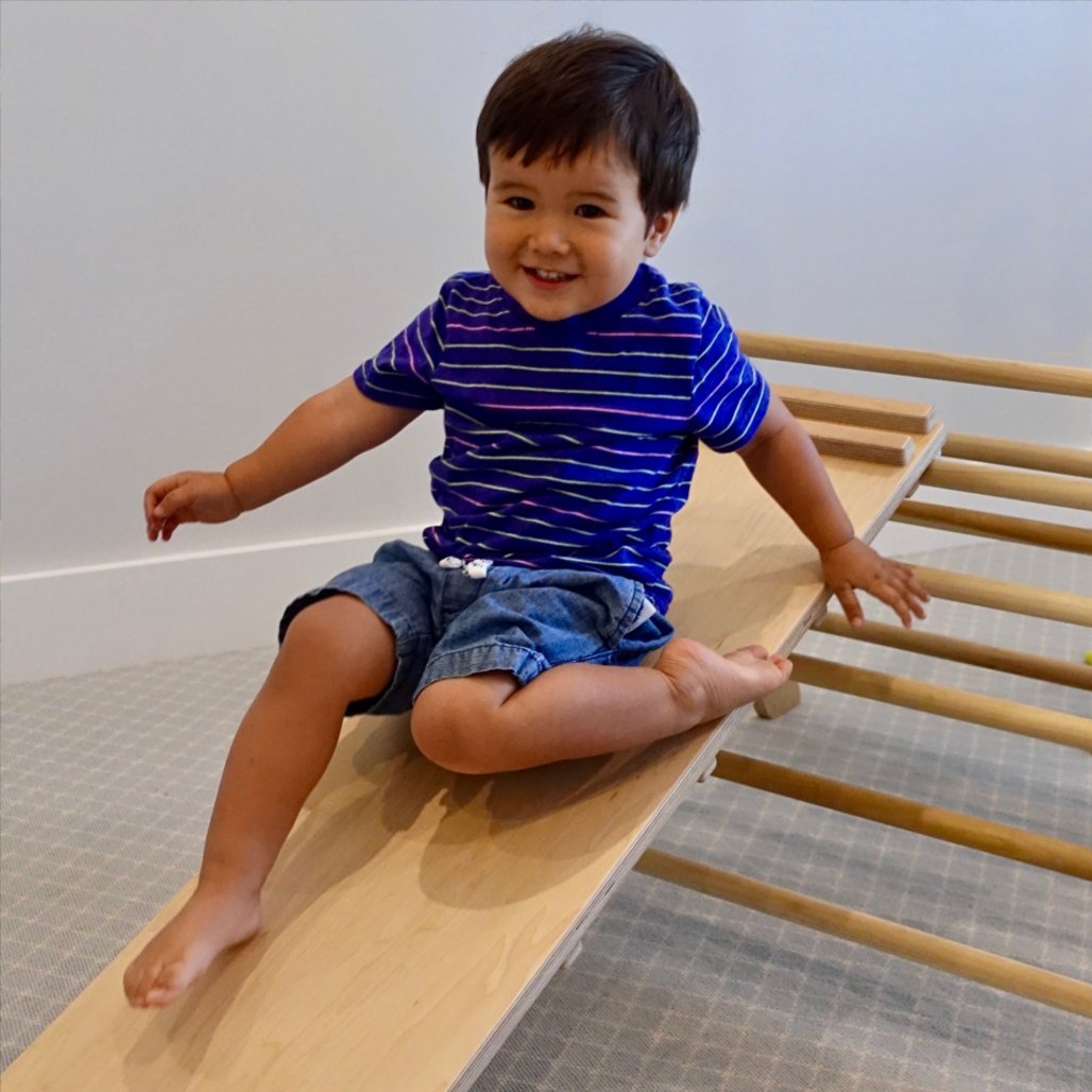 Reversible Climbing Ramp - The Baby Penguin