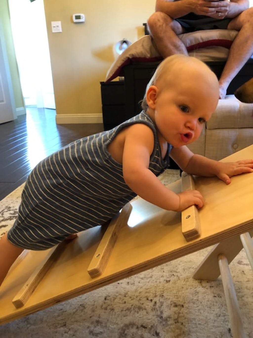 Reversible Climbing Ramp - The Baby Penguin