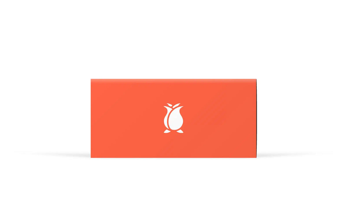 Rosebud Camper | cars | The Baby Penguin