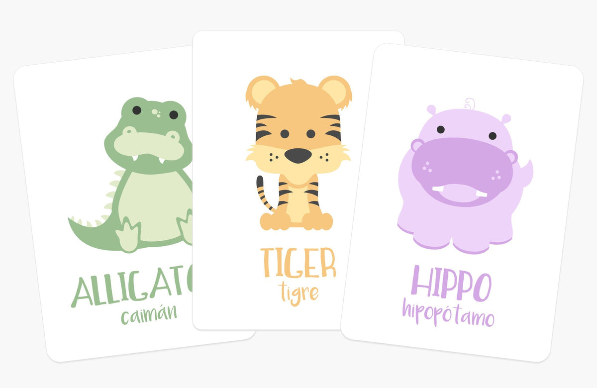 Safari Animal Flashcards - The Baby Penguin