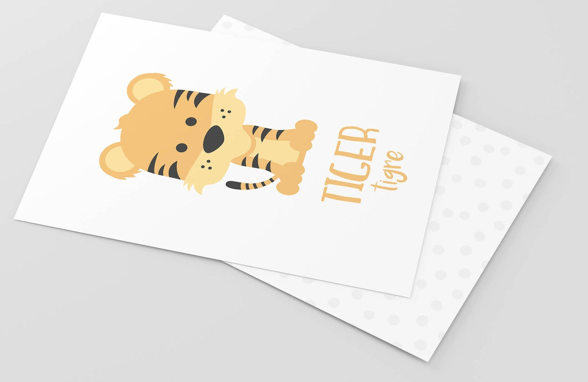 Safari Animal Flashcards - The Baby Penguin