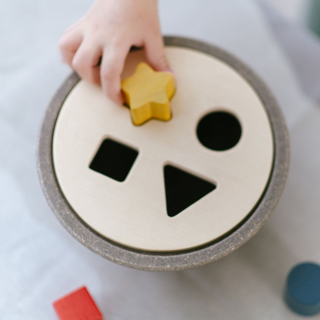 PlanToys Wooden Shape Sorting Bowl
