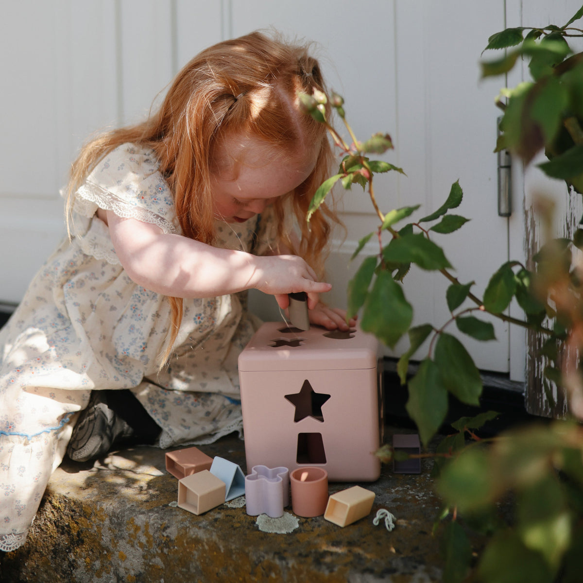 Shape Sorting Box - The Baby Penguin