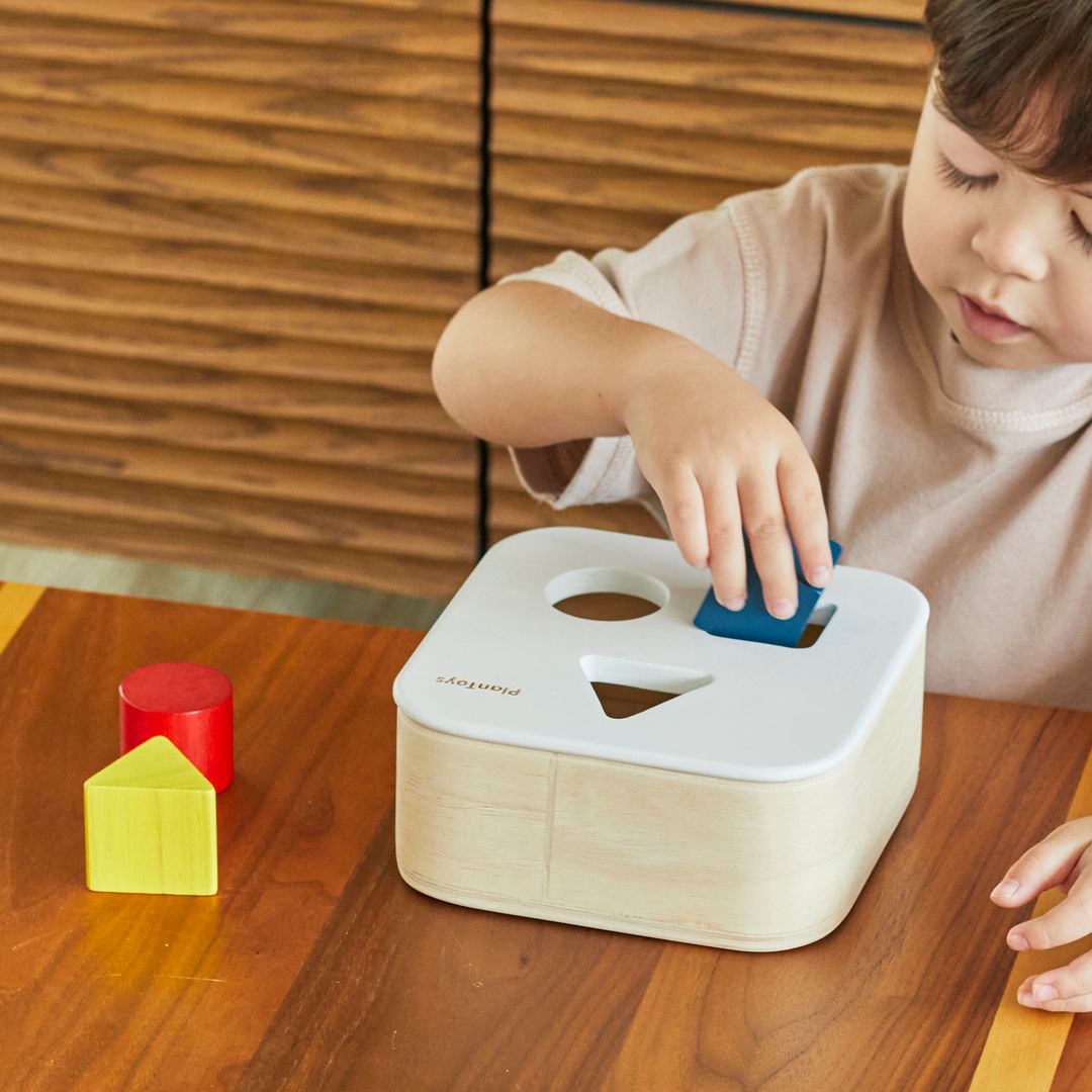 PlanToys Wooden Shape and Sort It Out Bin