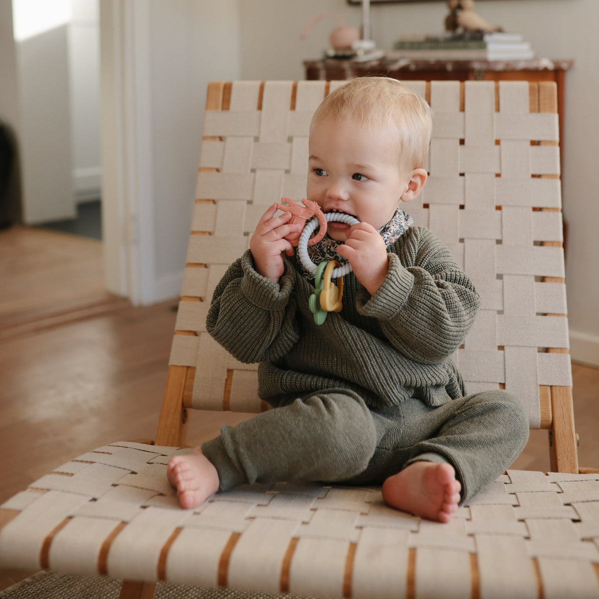 Teething Ring - The Baby Penguin