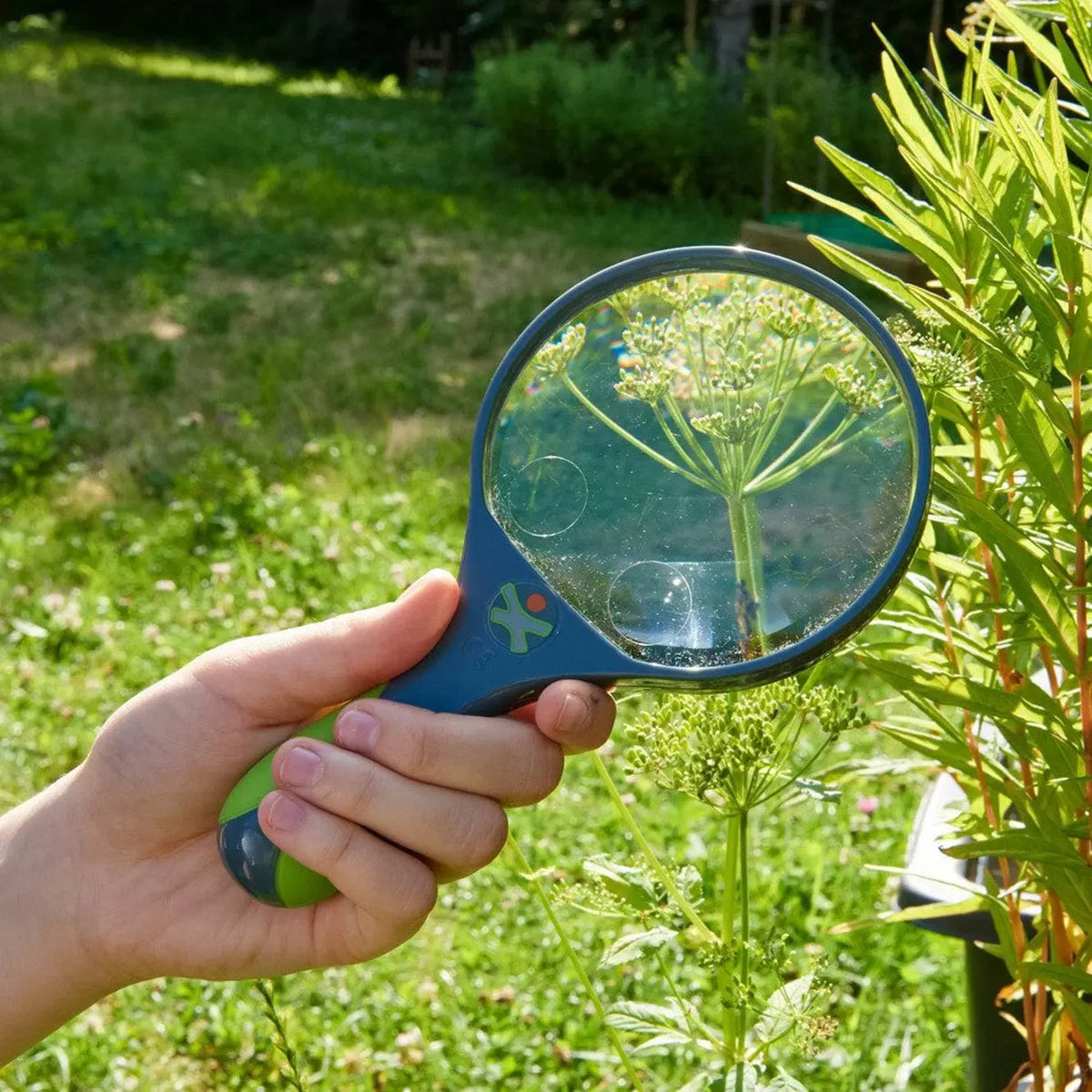 Terra Kids Magnifier | Terra Kids | The Baby Penguin