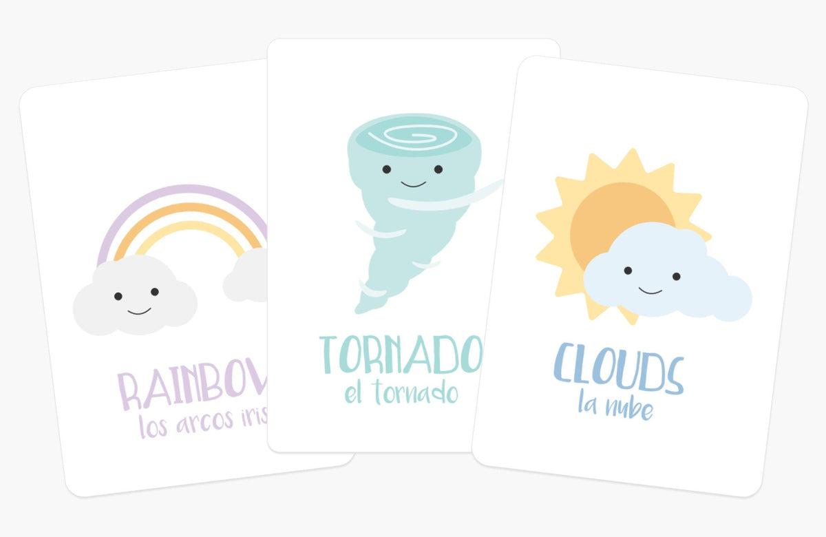 Weather Flashcards - The Baby Penguin