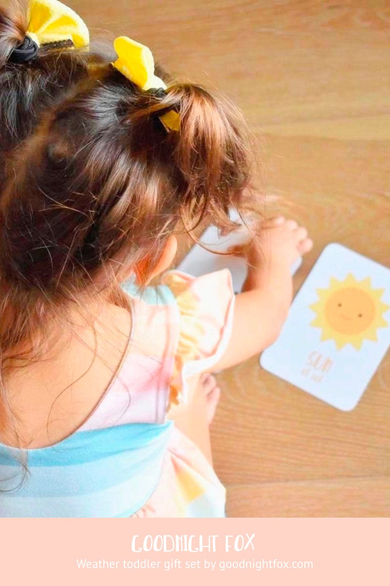 Weather Flashcards - The Baby Penguin