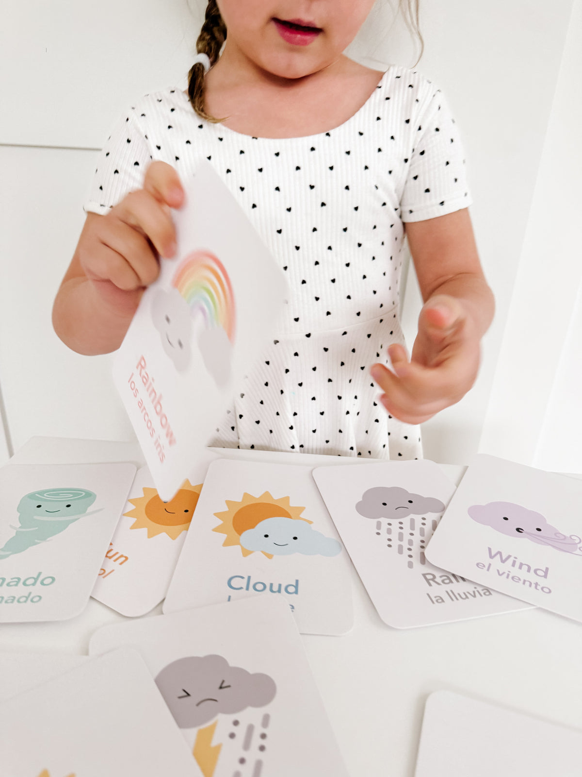 Weather Flashcards - The Baby Penguin